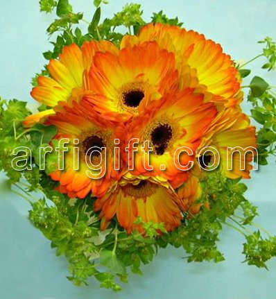 Send Exclusive Gerbera to Bangladesh, Send gifts to Bangladesh