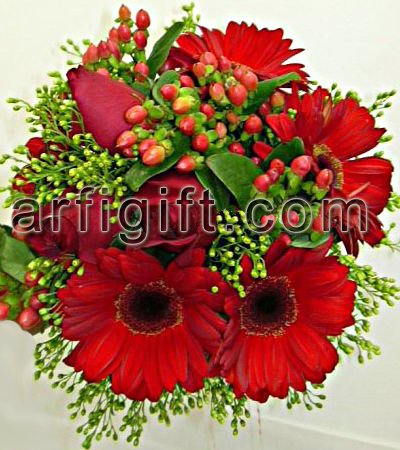 Send Exclusive Gerbera to Bangladesh, Send gifts to Bangladesh