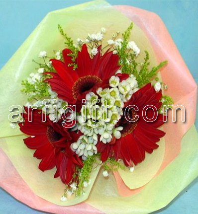 Send  Red Gerbera to Bangladesh, Send gifts to Bangladesh