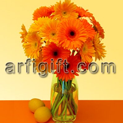 Send Gerbera With Vase to Bangladesh, Send gifts to Bangladesh